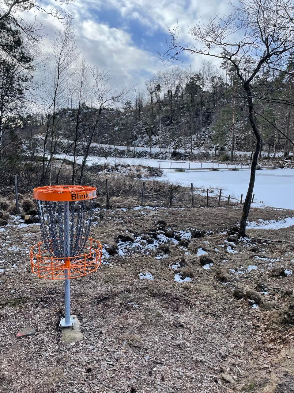 Frisbee Kurv bilde 1